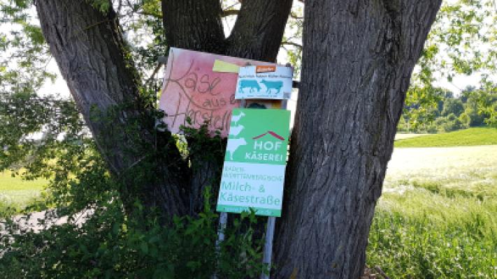 Biohof Schelkle - Oberwachinger Hofkäserei