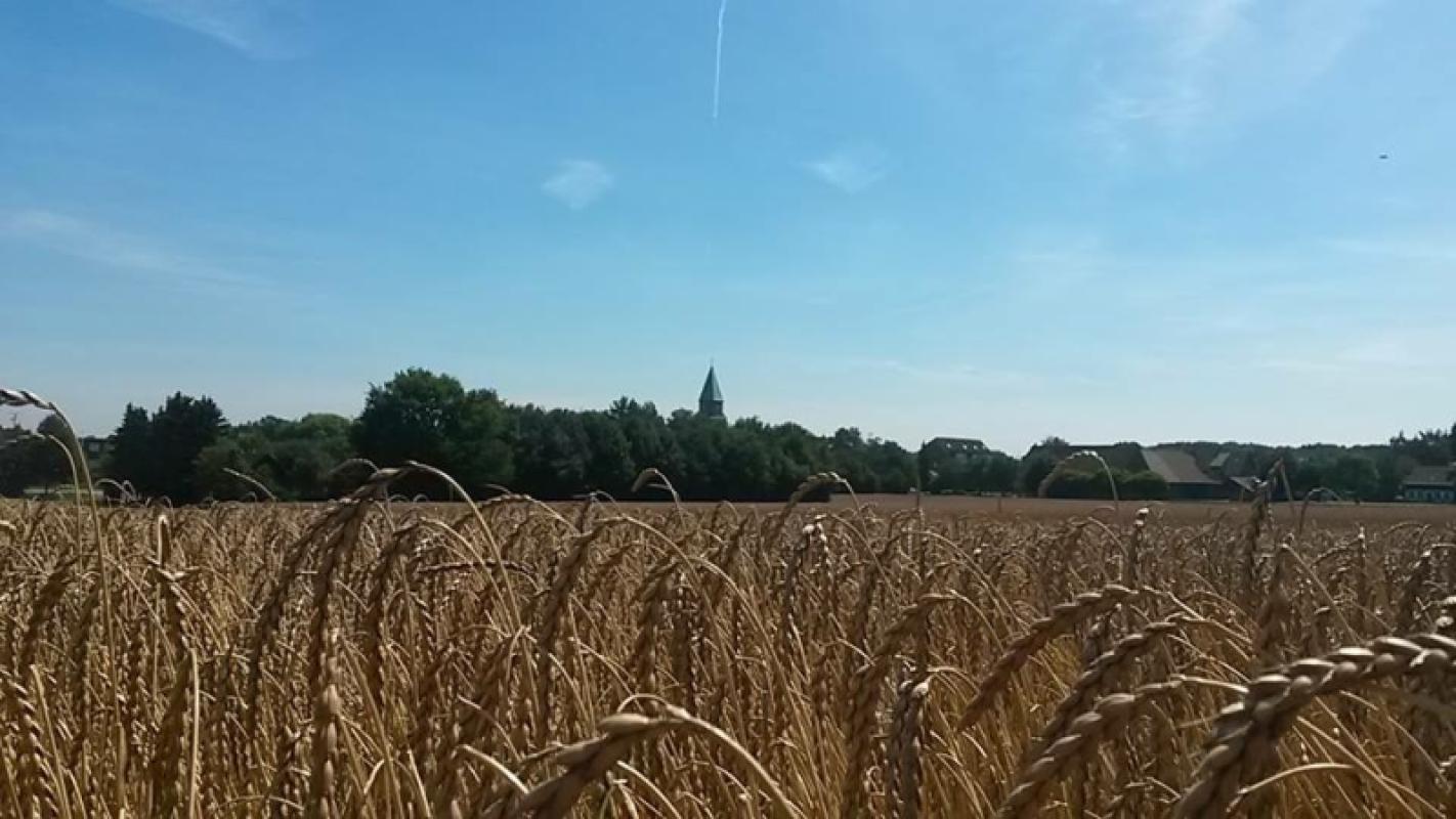 Hof Overgünne 1