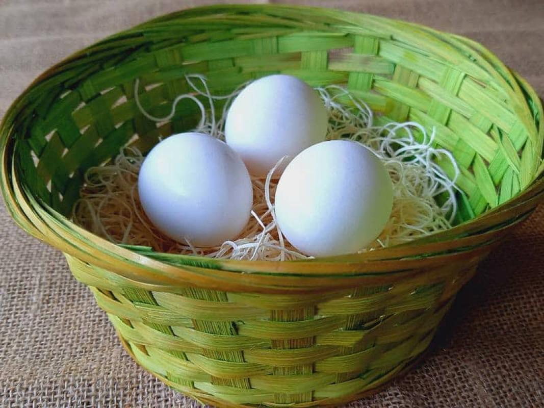 Eierautomat Felsberg