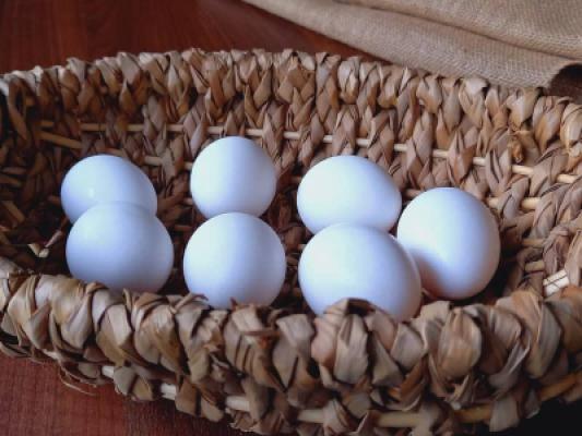 Bio-Eierautomat Till Döring Wabern-Zennern