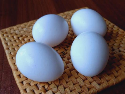 Eierautomat Hof Jäger Wabern-Uttershausen