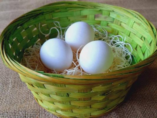 Eierautomat Otto-Ei Melsungen