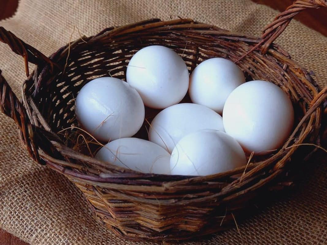 Eierautomat Wabern-Hebel